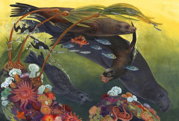 Kelp Forest in Illustrations